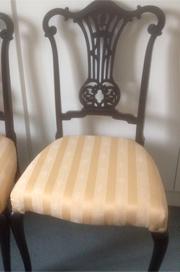 Edwardian mahogany chairs